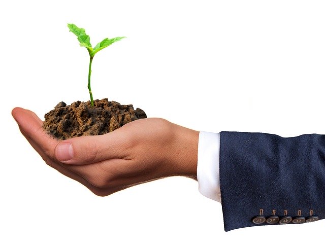 imagen de stock representando una mano con una planta creciendo para un artículo acerca de hacer negocios en Colombia