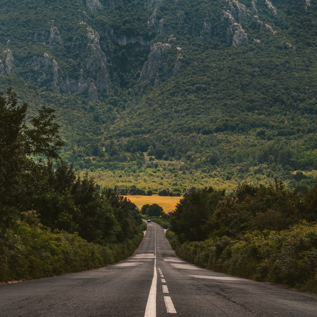 Imagen de una carretera rodeada de árboles.